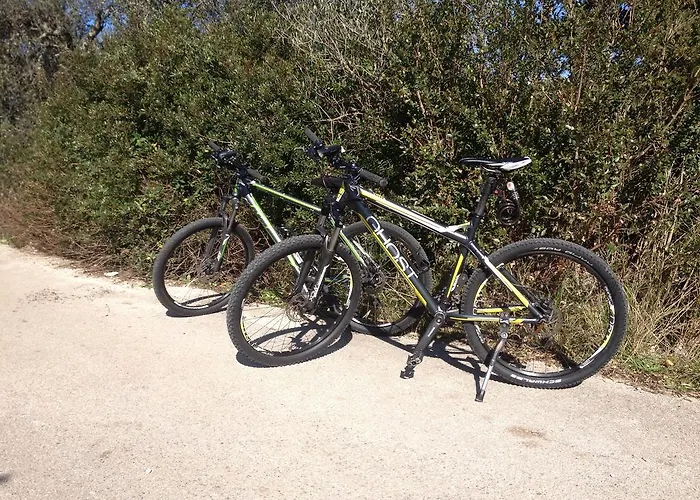 Cebalo - Ekonomija Apartamento *