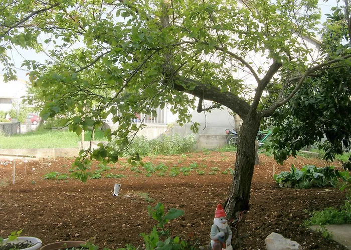 Cebalo - Ekonomija Korčula