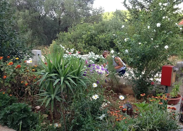 Cebalo - Ekonomija *