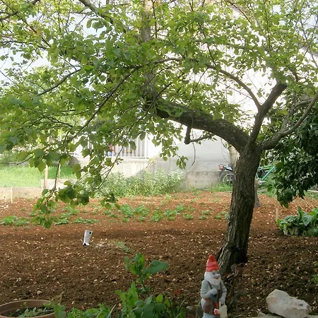 Cebalo - Ekonomija Корчула