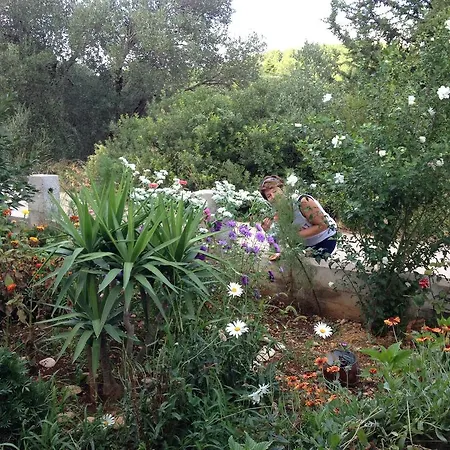 Cebalo - Ekonomija *