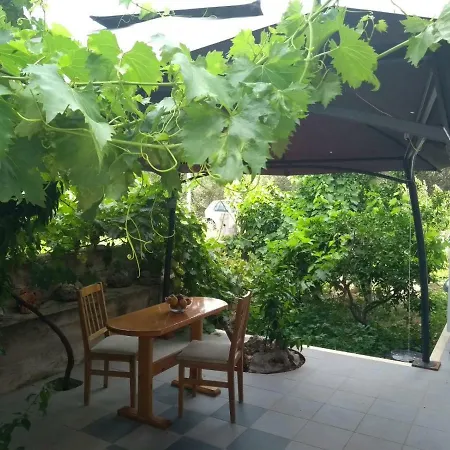 Cebalo - Ekonomija